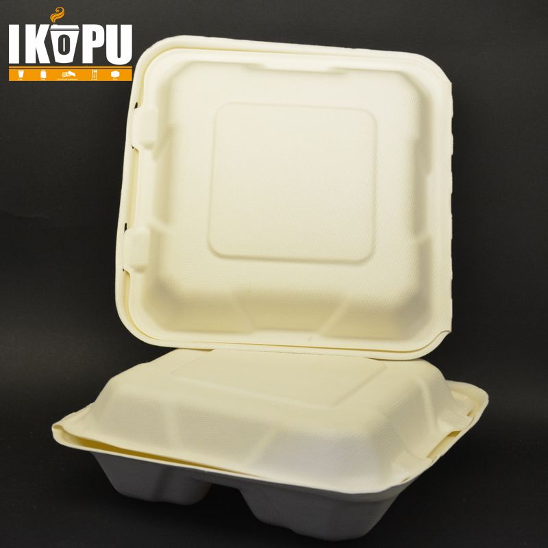 100% Biodegradable Pulp Sugarcane Bagasse Food Container Eco Friendly